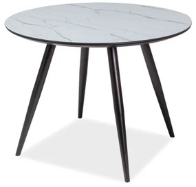 Jedálenský stôl Irina (biela + čierna) (pre 4 osoby). Vlastná spoľahlivá doprava až k Vám domov. 1050328
