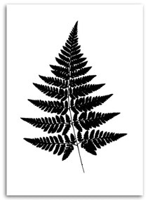 Obraz na plátně Kapradinový list černobílý - 80x120 cm