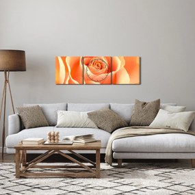 Obraz - Ruža, marhuľová farba (s hodinami) (90x30 cm)