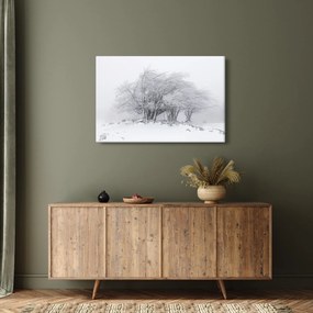 Obraz - Biela zima (90x60 cm)