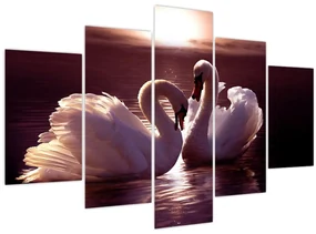 Obraz - Labute na jazere (150x105 cm)