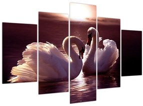 Obraz - Labute na jazere (150x105 cm)