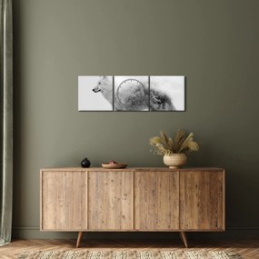 Obraz - Arktický vlk zrkadliaci divokú krajinu, čiernobiely (s hodinami) (90x30 cm)