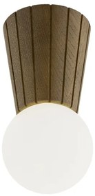 Argon 8974 - Kúpeľňové stropné svietidlo VOLANTE 1xG9/6W/230V IP44 pr. 12 cm hnedé