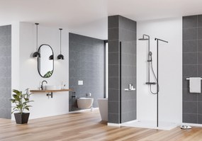 Deante Sprchová zastena Walk-In Kerria Plus 100 cm - KTS N30P - bez vaničky
