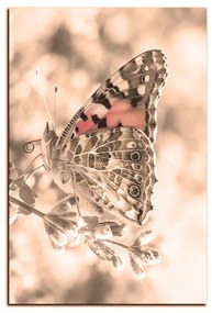 Obraz na plátne - Motýľ na levandule - obdĺžnik 7221FA (60x40 cm)