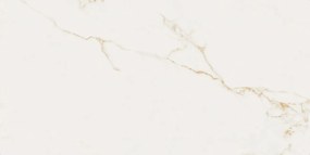 Dlažba Finezza Oro Pulido 60x120 R