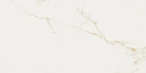 Dlažba Finezza Oro Pulido 60x120 R
