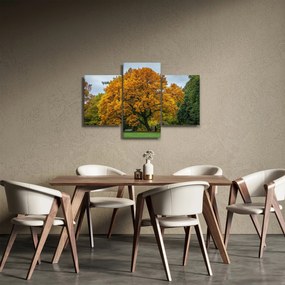 Obraz stromu (90x60 cm)
