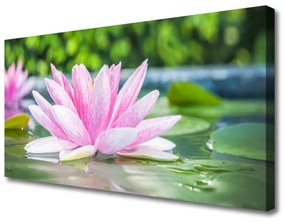 Obraz Canvas Vodné lilie rybník príroda 140x70 cm