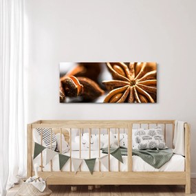 Obraz - Aníz (120x50 cm)