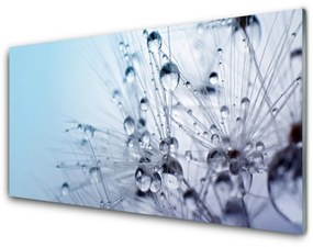 Obraz na skle Púpava rastlina 125x50 cm