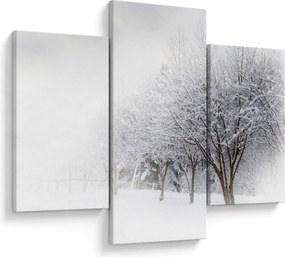 Obraz - Zimná alej (90x60 cm)