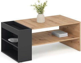 Konferenčný stolík MURCIA 100 cm dub artisan/čierny