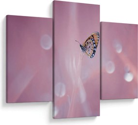 Obraz - Motýľ (90x60 cm)