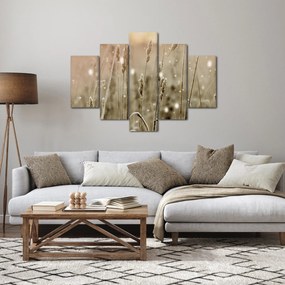 Obraz - Harmonická lúka (150x105 cm)