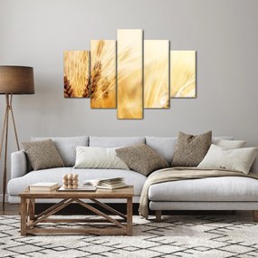 Obraz - detail obilia (150x105 cm)
