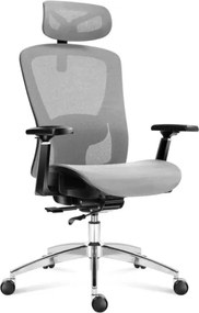 Kancelárska stolička Expert 5.3 Grey Mesh