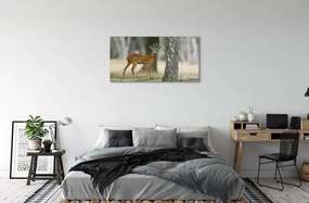 Sklenený obraz jeleň lesný 100x50 cm