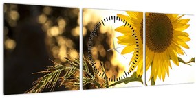 Obraz slnečnice (s hodinami) (90x30 cm)