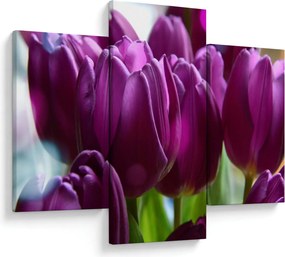 Obraz tulipánov (90x60 cm)