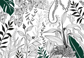 Fototapeta - Botanická záhrada (147x102 cm)