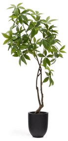 Umelá rastlina (výška 180 cm) Pachira – Kave Home