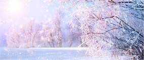 Obraz - Mrazivá zima (120x50 cm)