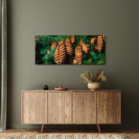 Obraz šišiek (120x50 cm)