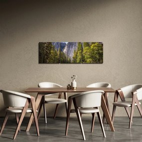 Obraz skál (s hodinami) (90x30 cm)