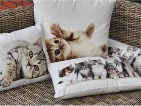 Biely bavlnený dlhý vankúš s mačiatkami Kittens - 90*20*10cm