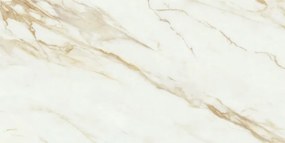 Dlažba Adaggio Gold Pulido 80x160 R