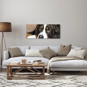 Obraz psa (120x50 cm)
