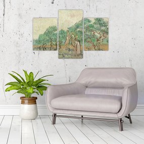 Obraz - Vincent van Gogh, The Olive Orchard, reprodukcia (90x60 cm)