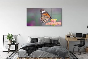 Obraz na akrylátovom skle Farebný motýľ kvetina 140x70 cm