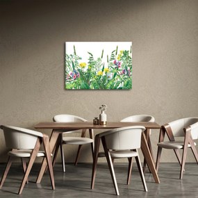 Obraz - Maľované lúčne kvety (70x50 cm)