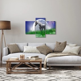 Obraz jednorožca (90x60 cm)