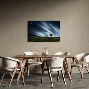 Obraz polárna žiara nad vresoviskom (90x60 cm)
