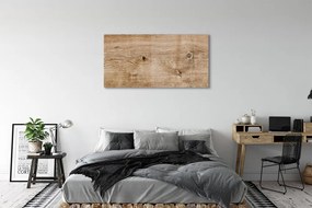 Obraz plexi Plank dreva 125x50 cm