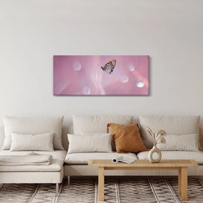 Obraz - Motýlik (120x50 cm)