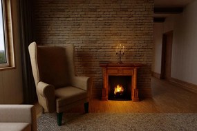 Kreslo Ušiak hladký 1-3 dny