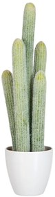 Okrasný kaktus v kvetináči - 16*14*54cm