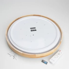 Brilagi - LED stlmiteľné stropné svietidlo PINE LED/60W/230V + diaľkové ovládanie