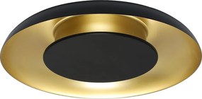 Stropné LED svietidlo Piattino, 1x LED 30w, 3000-6000k, b/g