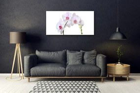Skleneny obraz Vstavač orchidea kvety 125x50 cm