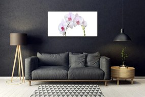 Skleneny obraz Vstavač orchidea kvety 100x50 cm