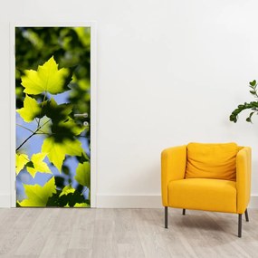 Fototapeta na dvere - Javorové listy (95x205cm)