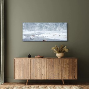 Obraz labutí (120x50 cm)