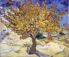 Vincent van Gogh - Umelecká tlač Mulberry Tree, 1889, (40 x 35 cm)