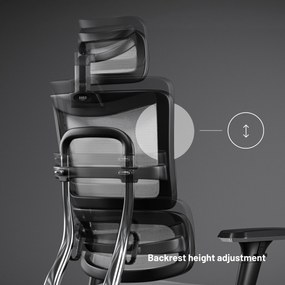 Ergonomické kreslo Diablo V-Master, čierno-biele